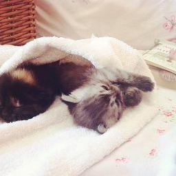 _noSmoking's profile picture. Don't worry, be happy.