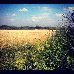 NorthBenfleet's profile picture. Bowers Gifford & North Benfleet - 2 ancient Essex villages. A green oasis in the urban sprawl, and a Wildlife Corridor. We are fighting to save our green belt.