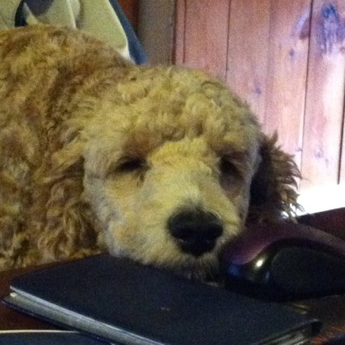 RebaJeter's profile picture. 