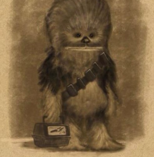 chava2go's profile picture. The 25 year old hawaiian organ donator