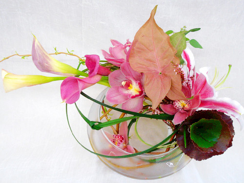 longmontflorist's profile picture. Two locations in Longmont,  CO.  We deliver local and worldwide!    Email: susan@longmontflorist.com