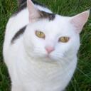 Willow Blair - @WillowMouseHunt - Twitter