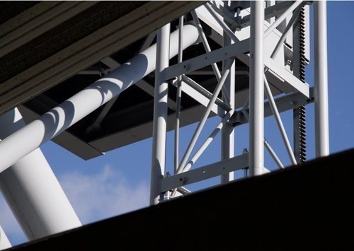 ladybirdshutter's profile picture. 