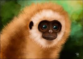 MusicSJ_NB's profile picture. 