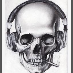 kobra428kr's profile picture. 