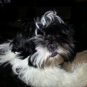 Sally Laws - @Salskia - Twitter