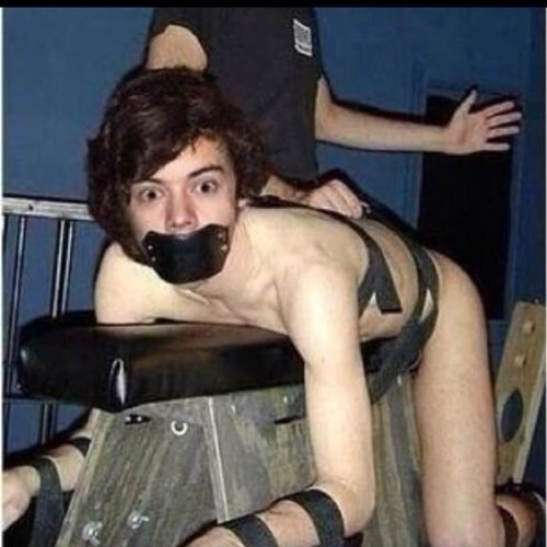 ناردين عتريس