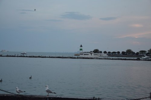 Ayaan787's profile picture. 