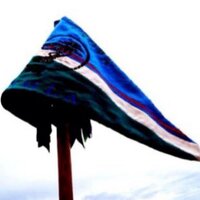 Tropa Jungla (@tropajungla) 's Twitter Profile