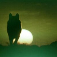 David Nieto Maceín (@davidnmacein) 's Twitter Profile