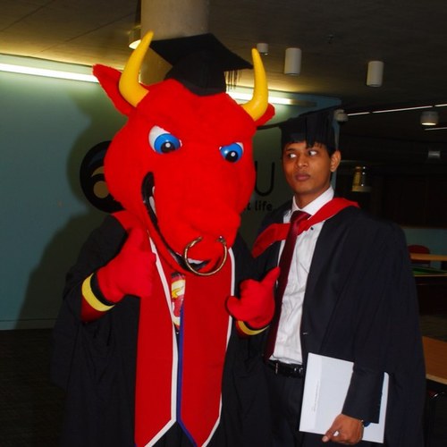 boscorayar's profile picture. 