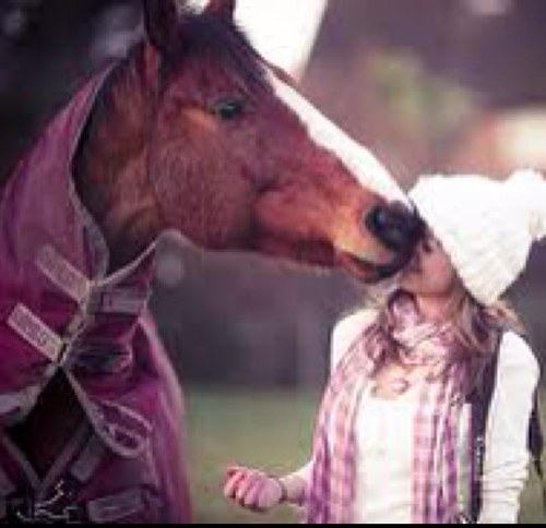 For the equestrians who have the courage to ride both western and english
