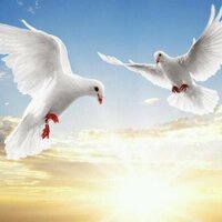 حربية والنعم فيه (@naw64765) 's Twitter Profile
