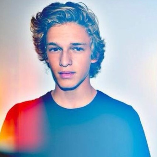 just 6 girls who are in love with a 16 year old aussie named Cody Robert Simpson.