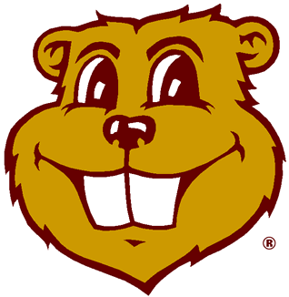 Gopher Hockey fan, Gopher Athletics fan, curler, broomball player, politico.