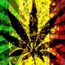 xXRASTA WE3DXx - @BobGermain - Twitter