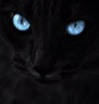 SVP48's profile picture. 