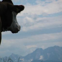 bockswake's profile picture. 