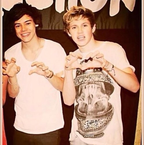 FL_Diirectioner's profile picture. Official Florida Directioner Account❤ I made this account for Florida Directioners to connect with each other! 1D 6/30/12 - 6/13/13 Cher 11/18/12 Ed 12/9/12