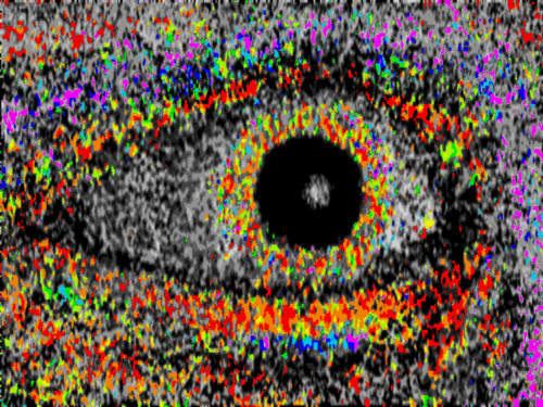 TresAmigosFL's profile picture. we jam like our lives depend on it and then take a smoke break.