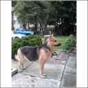 jim monzo - @jmonzo357 - Twitter