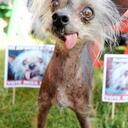 wanda moreno - @wlmmoreno - Twitter