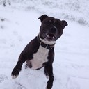 Kathryn Perry - @Kthrpr - Twitter