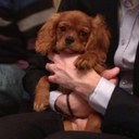 Ralph Dutton - @RalphDutton - Twitter