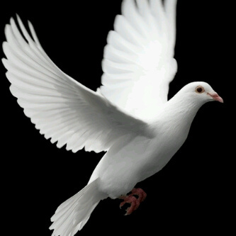 LittooTrevor's profile picture. 