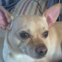 Debbie McCartney - @DebzMcCartney - Twitter