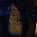 Michelle Humphries - @Macraceinc - Twitter