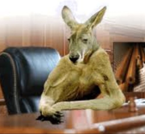 lyricalkanga's profile picture. it's http://t.co/uE8vuXYF and kanga bitch