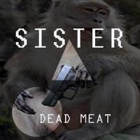Sister Music (@sisterband) 's Twitter Profile