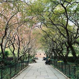 NYCProblemos's profile picture. 