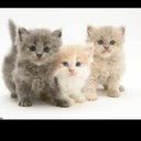 Rylee Brooks - @RBrooks1212 - Twitter