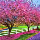 Gina MacMurray - @GinaMacMurray - Twitter