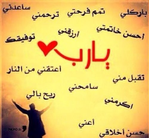 افخر بوطن يسكن روحي ، وجيرة الحبيب ﷺ اضع بصمتي حيثما كنت ، وأغرد وأنقل كل مايحفز على النجاح والإيجابية في الحياة بقربي من الله 🌸