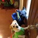 kaitlyn chavez - @chavez1232 - Twitter