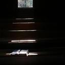 Amanda Ogle - @AmandaOgle - Twitter