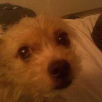 Penelope  Kakwiraes (@paladora80) 's Twitter Profile