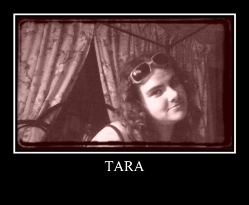 PrncssTara's profile picture. Reader, Knitter, Video Game Player