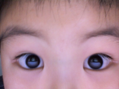 お料理と運動が大好きな二児の男の子のママです！