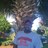 rogerlewis71's profile image