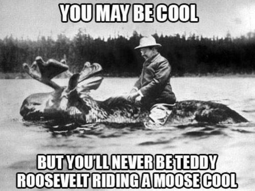 Bringing you funny pictures every day! Enjoy! 
C.A.F. - Chill as Fuck