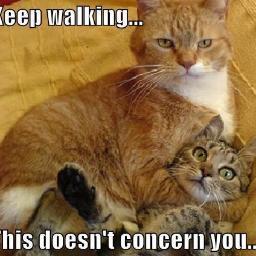 I Like to stalk people on the internet,Keeps me amused