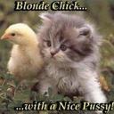 colin walton - @scarpper12 - Twitter