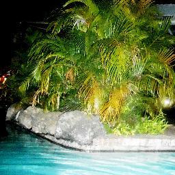 SnodGene's profile picture. 