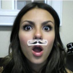 panda panda panda panda panda panda