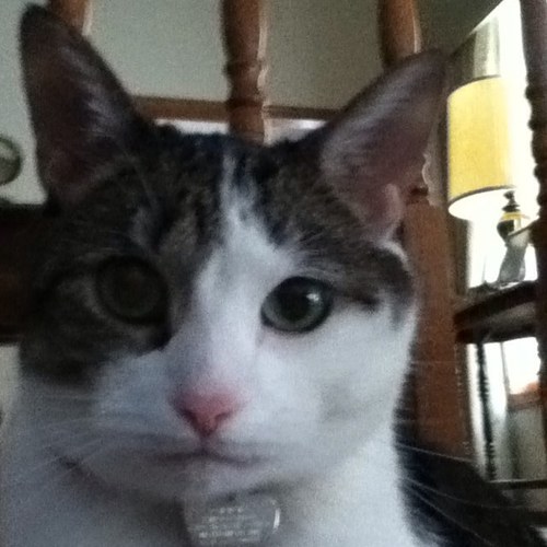 KimBoatman2's profile picture. KAB571@aol.com