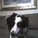 Jim Severson - @jim12488 - Twitter